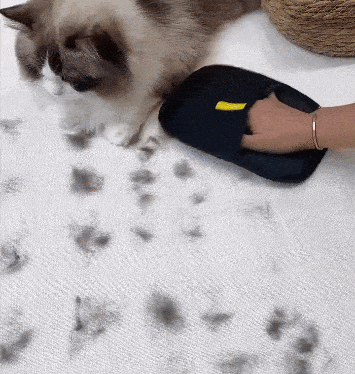 FurMagic™ – Removes pet hair in seconds