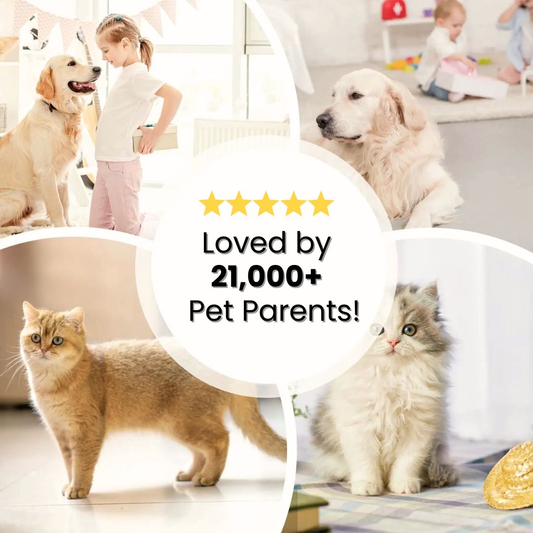 FurMagic™ Pro Glove – Say Goodbye to Pet Hair